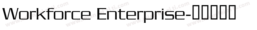 Workforce Enterprise字体转换
